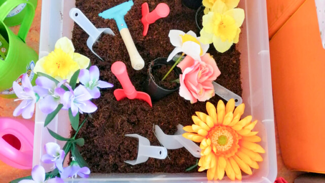 Thema Lente