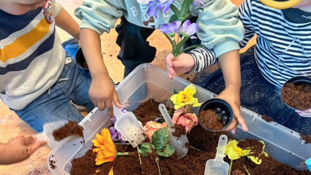Thema Lente