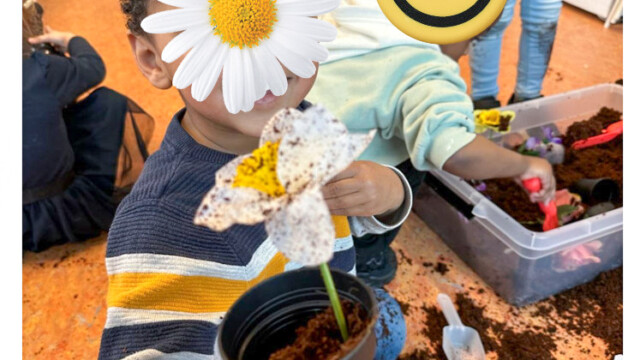 Thema Lente