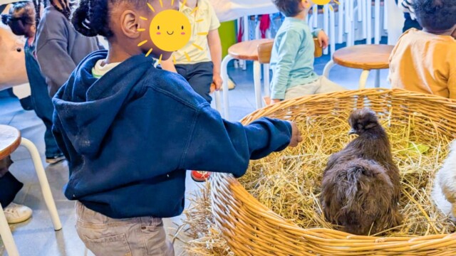 Op bezoek bij boerderij Brinkie
