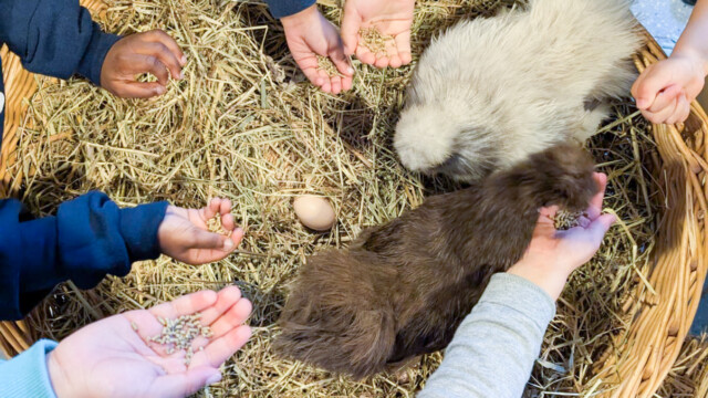 Op bezoek bij boerderij Brinkie