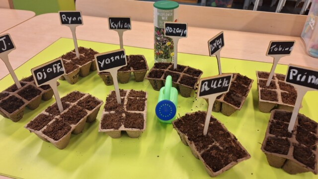 Thema Lente: zaadjes planten