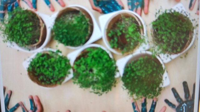 Thema Lente: aan de slag met gietertjes, aarde en water